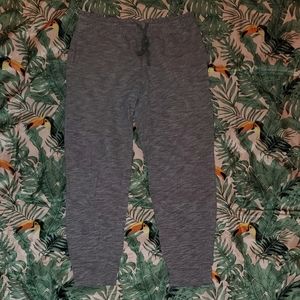 Hollister Capri